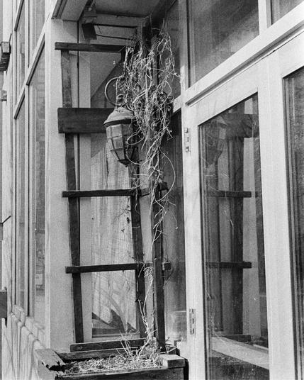 weathered wooden trellis with dried vines clinging to it stands beside a glass door and windows. An old lantern hangs from the frame, and a planter box below holds dead stems and dried soil, evoking a sense of abandonment and passage of time