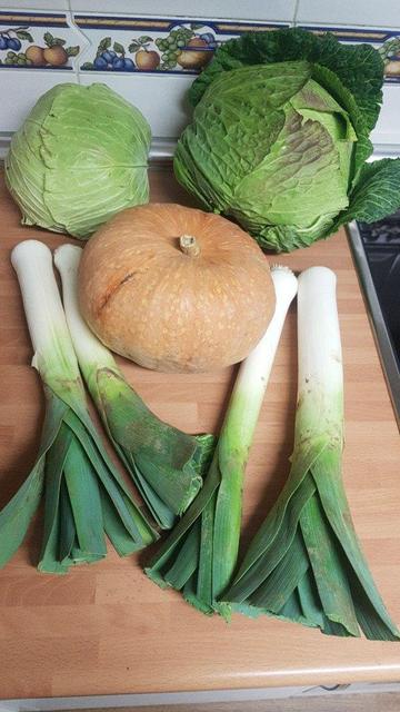Contenido de la cesta de la semana sobre una encimera de cocina.
Al fondo dos repollos. En el centro una calabaza. Y a los lados dos pares de puerros.