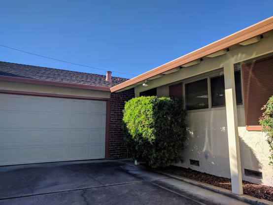 a photo of a bright green shrub in front of a house, windows and faux shutters to the right, a garage door to the left - overall color palette is pale-yellow/off-white for the walls and terracotta for the trim and shutters