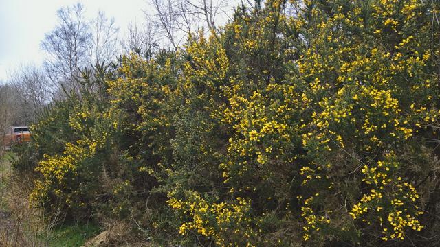 #VisualSearch is #QuiteCool...