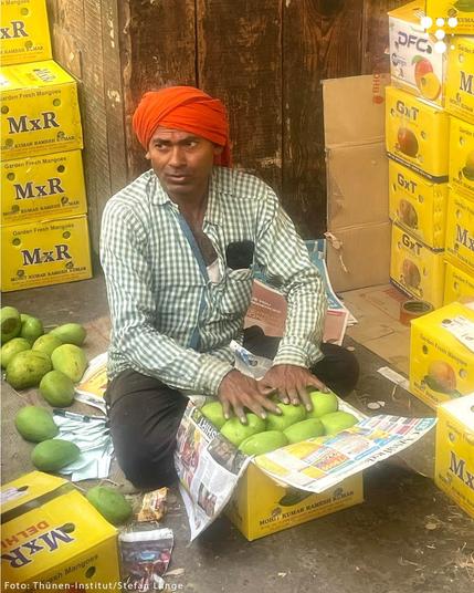 Ein Mann mit rotem Turban zwischen vielen gelben Kisten. Er sortiert gerade eine Kiste mit Mangos ein.