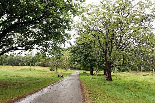Singleton Park