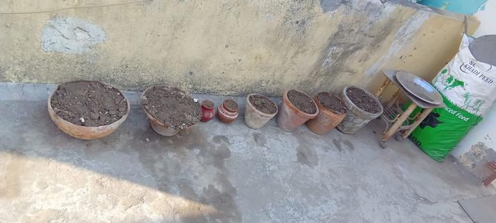 Reused Pots