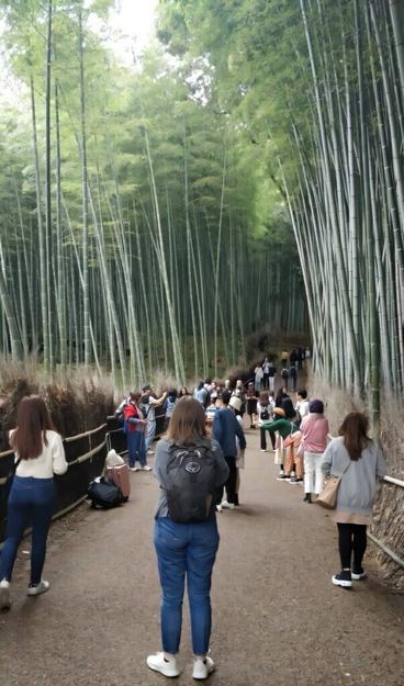 Exploring the environmental and economic impact of COVID-19 on Japan's tourism industry
