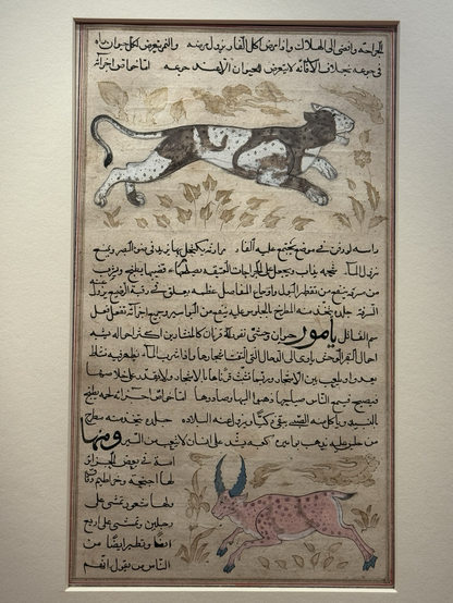 Photo of the manuscript leaf framed in white mat on display at museum