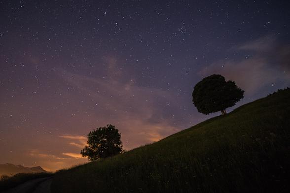 Photo de paysage nocturne.
Au premier plan on voit un pré dont le foin fleuri est prêt à être fauché. La pente commence en bas à gauche, on y distingue un petit chemin qui se perd  quelques mètres plus loin derrière la pente, et elle remonte vers le bord droit à mi-hauteur de l'image. sur cette ligne de pente se trouvent deux arbres : à gauche un frêne à la silhouette informe, et à droite un érable, à la forme typique d'un dessin d'enfant : tronc court et feuillage arrondi. L'érable semble se pencher vers son voisin en contrebas.
Le ciel est très étoilé, bleu en haut de l'image il vire à l'orange vers le bas, du fait de la pollution nuageuse. Il y a quelques fins nuages.
-
Night landscape photo.
In the foreground is a meadow with flowering hay ready to be mown. The slope begins at the bottom left, where we can make out a small path that disappears a few metres behind the slope, and rises towards the right-hand edge halfway up the picture. On this line of slope are two trees: on the left, an ash tree with a shapeless silhouette, and on the right, a maple, with the typical shape of a child's drawing: short trunk and rounded foliage. The maple seems to be leaning towards its neighbor below.
The sky is very starry, turning blue at the top of the image and orange at the bottom, due to cloud pollution. There are a few fine clouds.