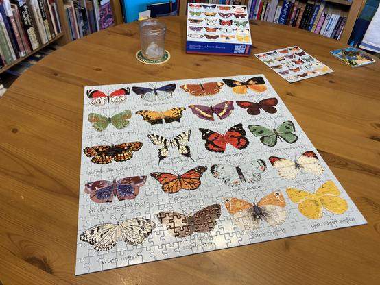 Completed jigsaw table on a wooden table. The puzzle image is a chart of 20 different colorful butterflies.