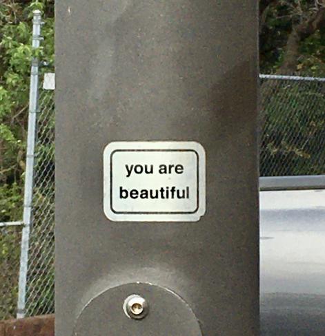 A silver-colored decal is affixed to a brown light pole.  It says “you are beautiful”.  In the background is a silver car, chain link fence and green trees.