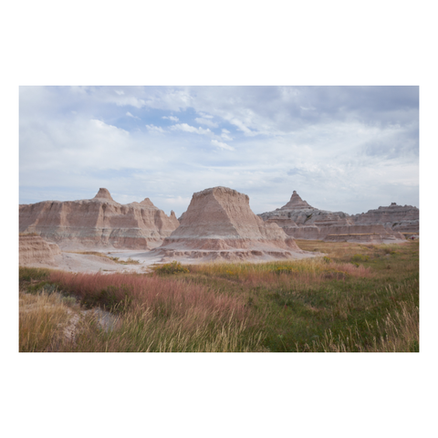 badlands with flowering grass in foreground