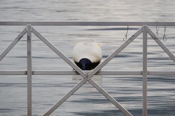 A  buoy behind a railing