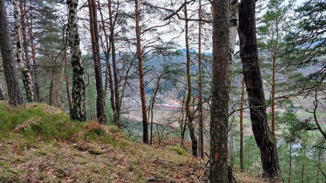 Landschaftsbild in der sächsischen Schweiz. Durch die Waldbäume ist das Elbtal mit Elbe, Eisenbahn, eine Ortschaft, Berge und Wälder sichtbar.