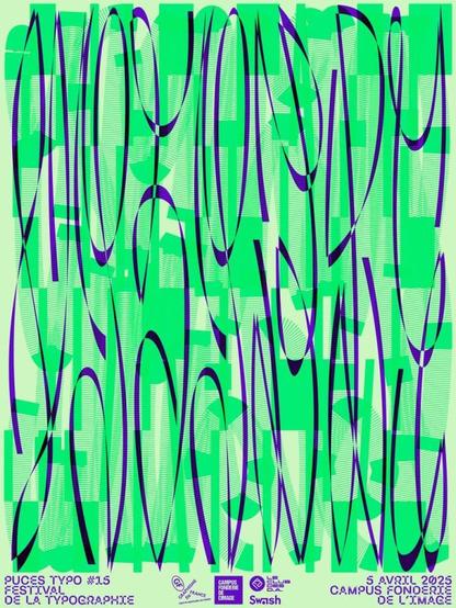 Une affiche très colorée en vert pétant et bleu foncé avec un texte calligraphié illisible avec un tracé typographique qui prend la plupart de l'image avec des grandes lettres. En bas de l'affiche, la mention "Puces Typo #15, Festival de la Typographie" et des logotypes sont présents.