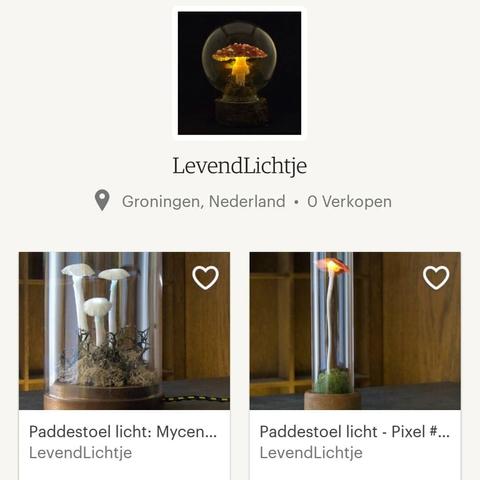 A screenshot of my Etsy shop from January 2019, showing a few mushroom lamps and the header of the shop.