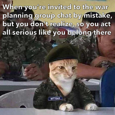 an orange tabby cat in camoflauge and a with a nametag reading "mittens" surrounded by army people, captioned "When you're invited to the war planning group chat by mistake, but you don't realise, so you act all serious like you belong there."