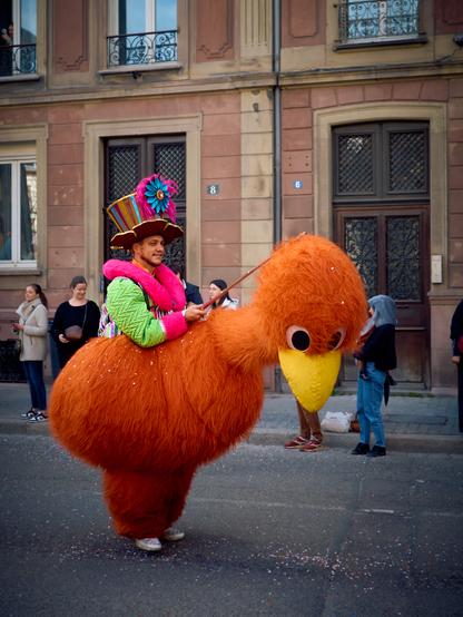 Carnaval de Strasbourg
Parade des oiseaux chelous