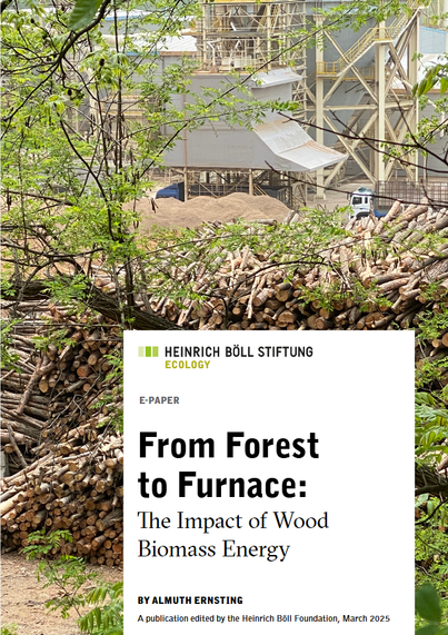 Cover of the report "From Forest to Furnace: the Impact of Wood Biomass Energy" by the H. Boell Foundation