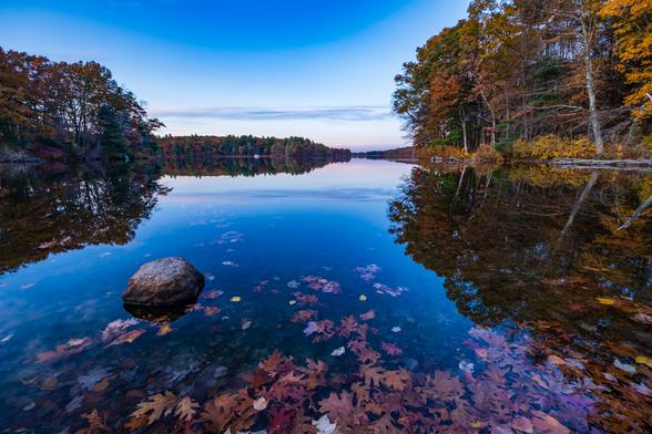 Fall foliage is reflected in a lake along with pastel skies. Fall colored leaves float in the foreground.
© Tom Goetz. All rights reserved. Training an AI on this image is expressly forbidden.