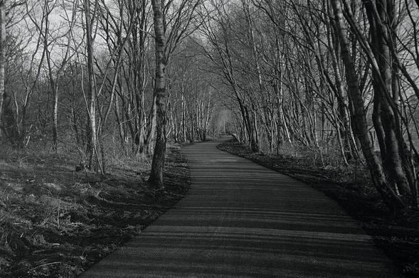 The newly laid path is smoother than a racetrack and a joy to use.