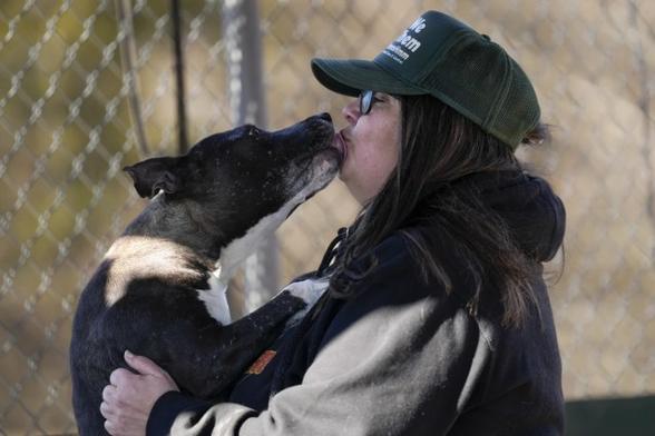 A dog licks a woman's face