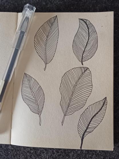 a small notebook with a black pen on the left, five leaves drawn with black ink
