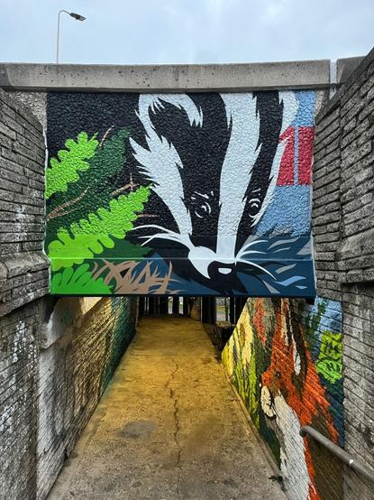 Murals painted under the M4 at Port Talbot