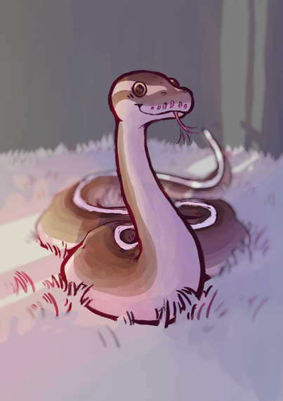 drawing of a snake on a white fluffy rug