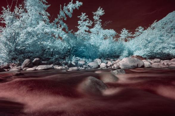 Une rivière rouge et des arbres bleu