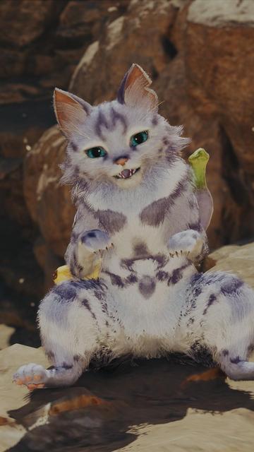 In game screenshot of that cat