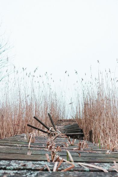 A jetty badly beaten by the ice during winter.