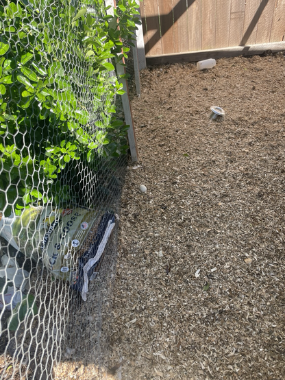 An animal pen with wood shavings on the ground, and a random egg near the fence on the left