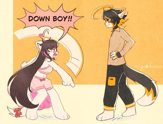 Based on the "DOWN BOY" meme

Chibs: "DOWN BOY"