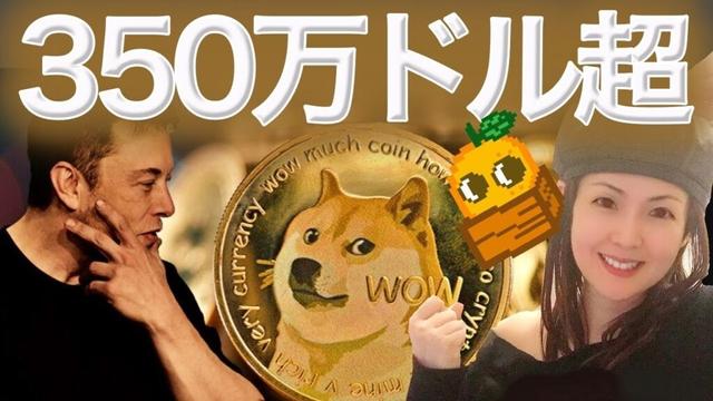 XRP 2017年のチャートすごい 今回も繰り返すか?
