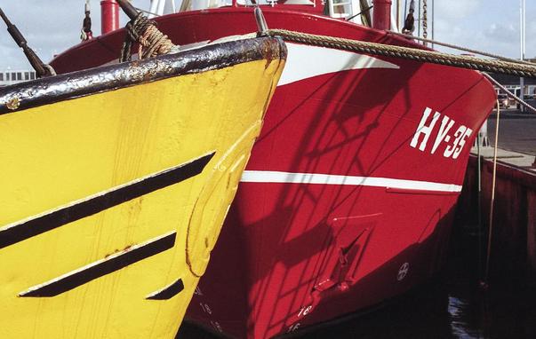 Farbfoto zweier Fischkutter im Hafen von Havneby. Es ist jeweils nur der Bug des Schiffsrumpfs zu erkennen. Die Schiffe - ein Gelbes und ein Rotes - liegen im 90°-Winkel zueinander.