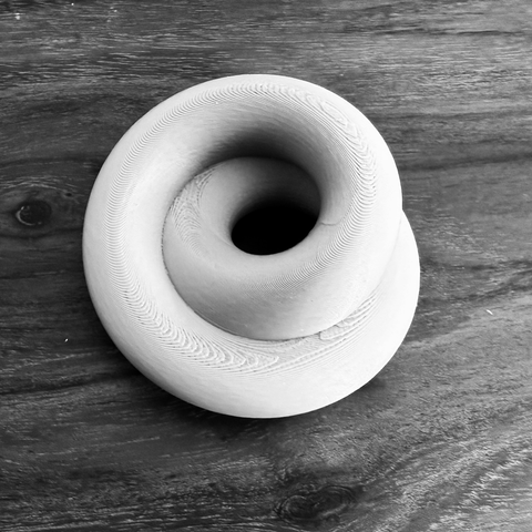 A figure 8 immersion of a Klein bottle. It really just looks like a coil.
