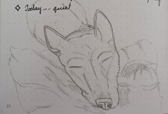 A simple, amateur pencil sketch of the dog in the previous image.