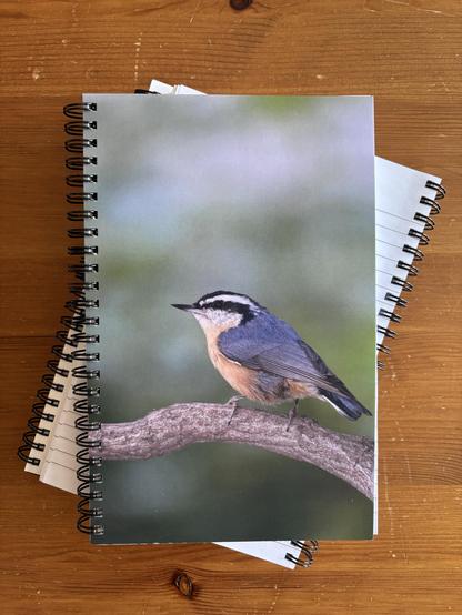 Coil-bound journal stacked on top of others. Cover shows a red-breasted nuthatch on a branch.