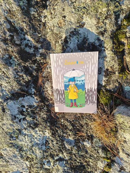 Kuvassa Säänoita-kirjan kansi kuvattuna kalliolla.