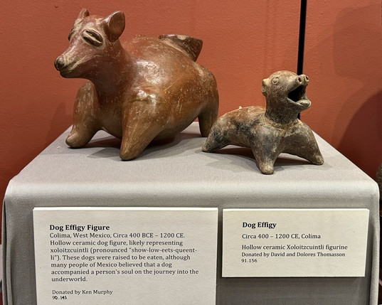 photo of the two dog ceramics side by side on box stand with gallery labels below on display at museum “Dog Effigy Figure Colima, West Mexico, Circa 400 BCE - 1200 CE. Hollow ceramic dog figure, likely representing xoloitzcuintli (pronounced "show-low-eets-queent-li"). These dogs were raised to be eaten, although many people of Mexico believed that a dog accompanied a person's soul on the journey into the underworld. Donated by Ken Murphy 90.143” “Dog Effigy Circa 400 - 1200 CE, Colima Hollow ceramic Xoloitzcuintli figurine Donated by David and Dolores Thomasson 91.156”