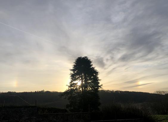 Dark rolling farmland with the silhouette of a pine tree in the centre, the sky full of textured cloud, and the Sun behind the tree. To left and right are two sun dogs, miniature pieces of rainbow caused by ice crystals.