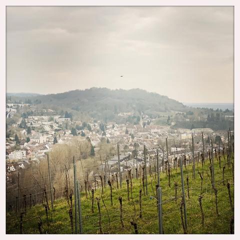 Blick vom oberen Höhenweg zwischen Grötzingen und Berghausen ins Pfinztal. Zu sehen ist Grötzingen mit dem Turmberg im Hintergrund. Es ist trübes Wetter und die Weinberge sind noch kahl.
