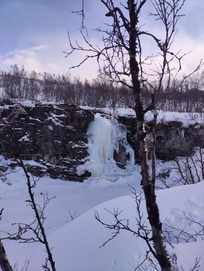 View from the training site: a frozen waterfall down a cliff with stunted birch trees and snow
