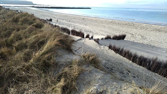 Am Strand, ganz rechts das Meer, links eine Düne. Hinter den Windfängen liegt ein Kegelrobbenjungtier (in der Bildmitte, es schaut in Richtung Kamera), im Hintergrund am Strand eine weitere (vermutlich ausgewachsene) Robbe. Links am oberen Bildrand befindet sich eine Felsenkante.