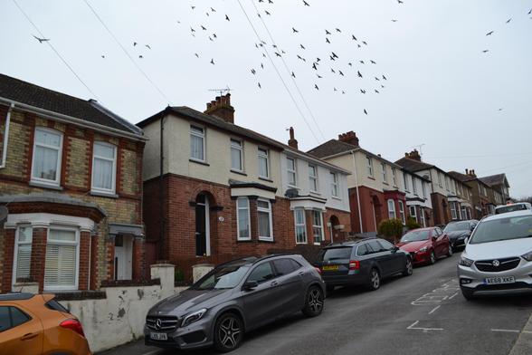A post-war semi-deteched house in the middle of a Victorian terrace going up a hill.  There are starlings flocking in the sky above.