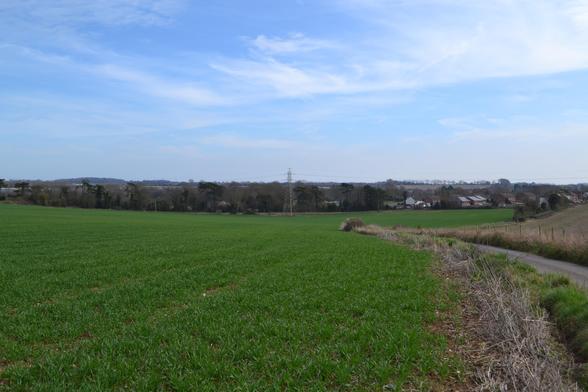 Field on the outskirts of Eythorn