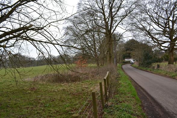 Field near Acrise (other side of the road to the other photo)