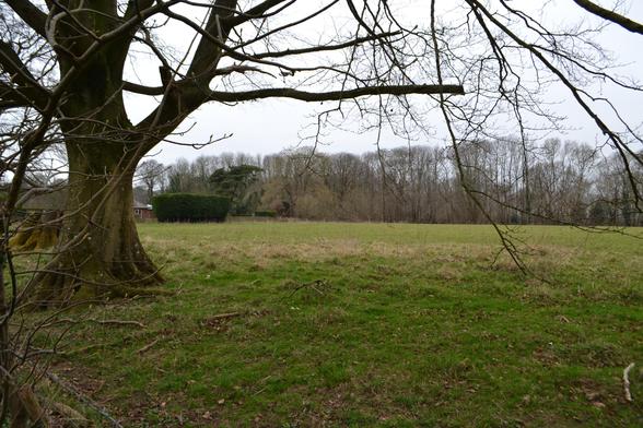 Field near Acrise (other side of the road to the other photo)