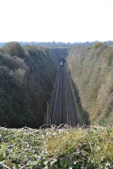 A very deep railway cutting with a tunnel at the end.  A yellow nosed train is entering the tunnel on the left hand of two tracks.