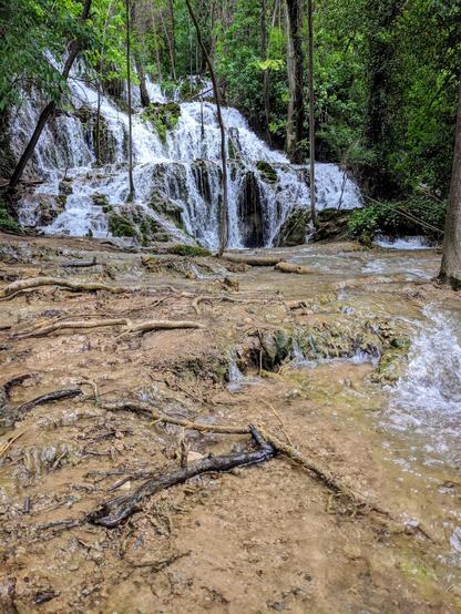 A wide, eye-level shot captures a cascading waterfall in a lush, green forest. The water tumbles down a series of rocky tiers, creating a textured white flow against the darker stone. Tall, slender trees with green leaves frame the waterfall, some leaning slightly. The foreground features a muddy bank with exposed tree roots and shallow, flowing water reflecting the dappled sunlight. The overall impression is one of a serene and natural woodland scene.