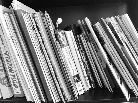 Bright Books and magazines on a dark shelf