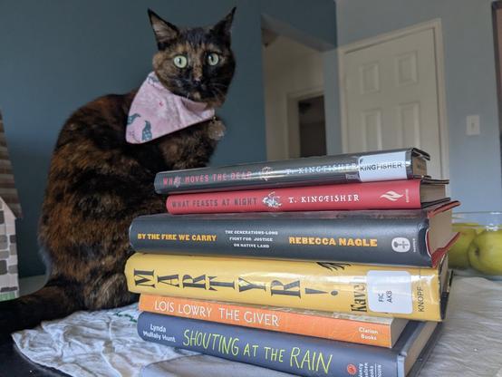 a cat with a pink bandana sitting behind a stack of books.